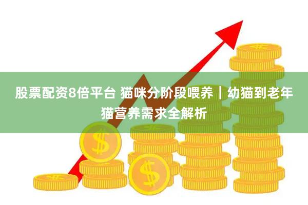 股票配资8倍平台 猫咪分阶段喂养｜幼猫到老年猫营养需求全解析